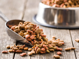 o-que-e-a-isencao-de-produtos-no-mapa