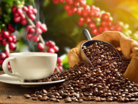 Caf de todo dia com sabor profissional e produzido por brasileiros