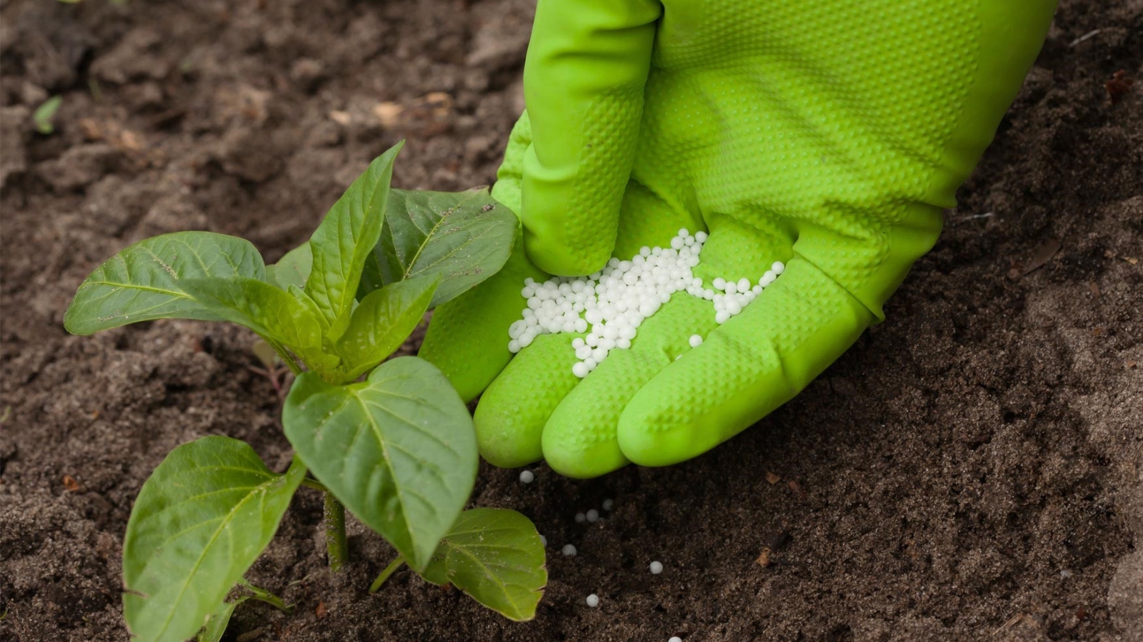 importação e exportação de fertilizantes