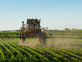 A sprayer covers a soybean field with an herbicide to control weeds.