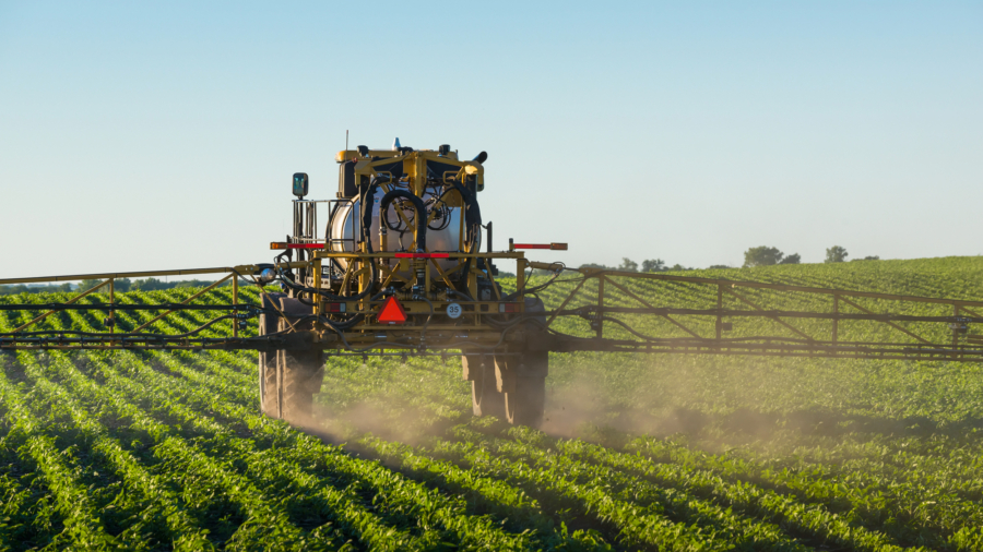 A sprayer covers a soybean field with an herbicide to control weeds.