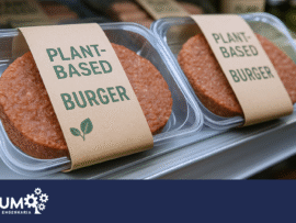 Design sem nome (20)